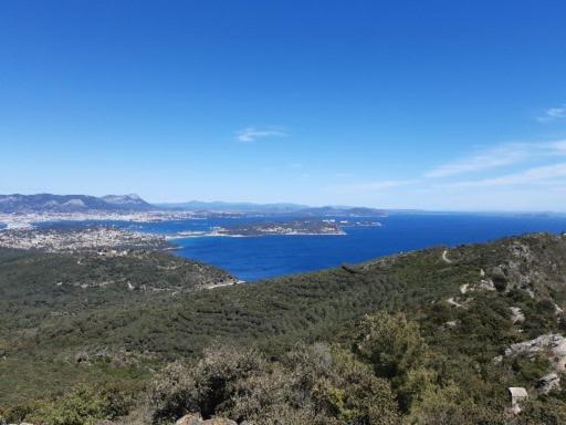 T2: 45M2 :4 Places :Independant Dans Villa Hyères Exteriör bild